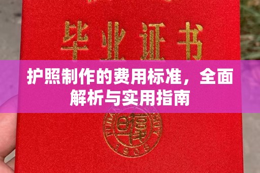 姚安护照制作的费用标准，全面解析与实用指南